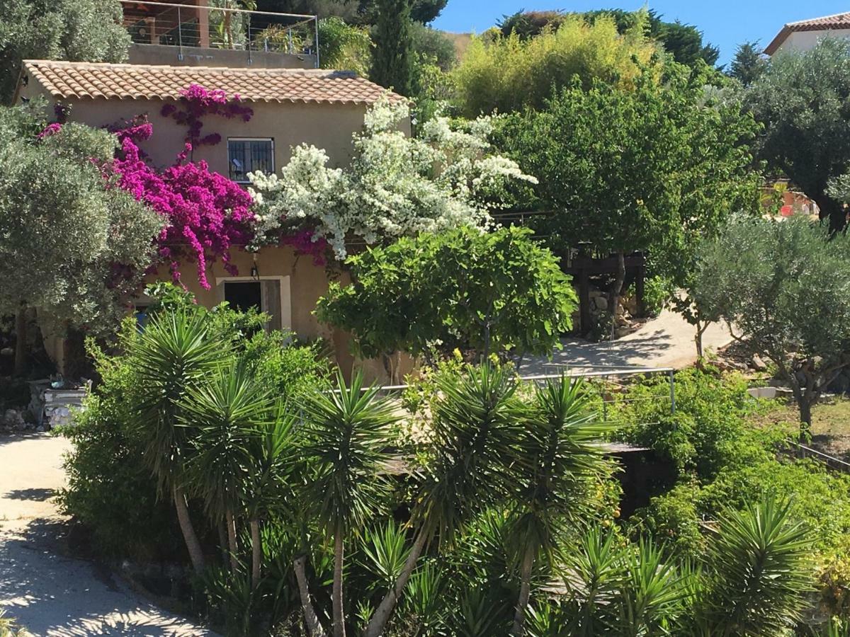 Les Terrasses Sur Mer Ollioules Exterior foto