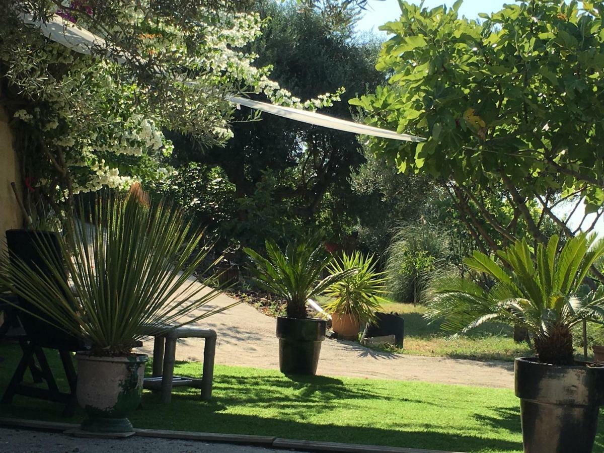 Les Terrasses Sur Mer Ollioules Exterior foto